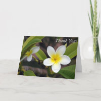Foto Floral Cartões de agradecimentos Verde Amarel