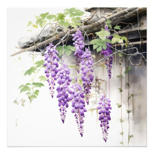 Foto Floral Nature Violet