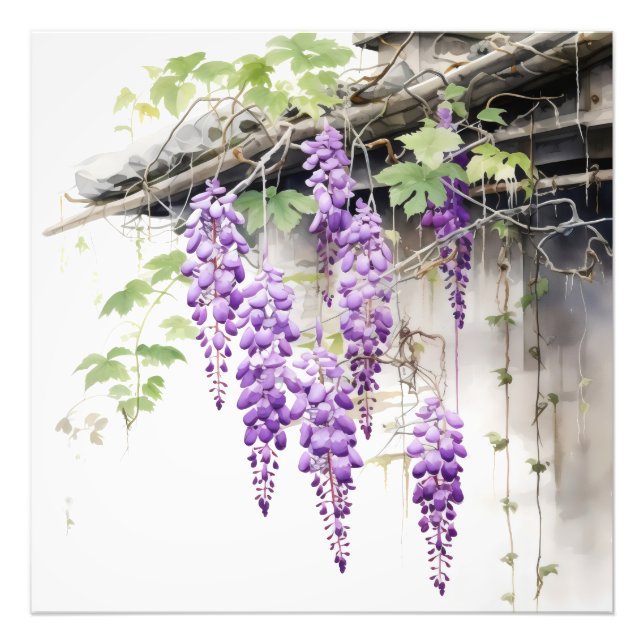 Foto Floral Nature Violet (Frente)