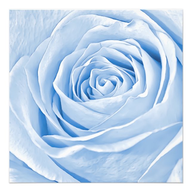 Foto Floral Photo Daee Light Blue Rosa (Frente)