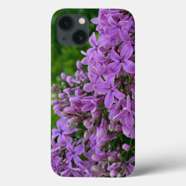 Foto floral roxa lilás romântico elegante roxo