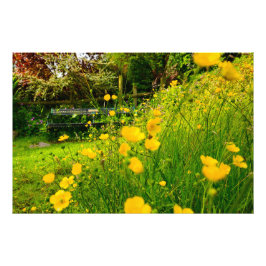 Foto Flores