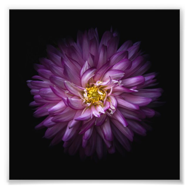 Foto Flores 20 (Frente)