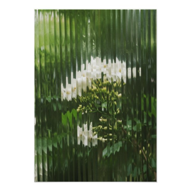 Foto Flores Brancas Abstratas através de Vidro Canelado (Frente)