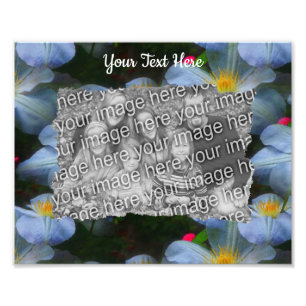 Foto Flores brancas Clematis Flowers Modelo