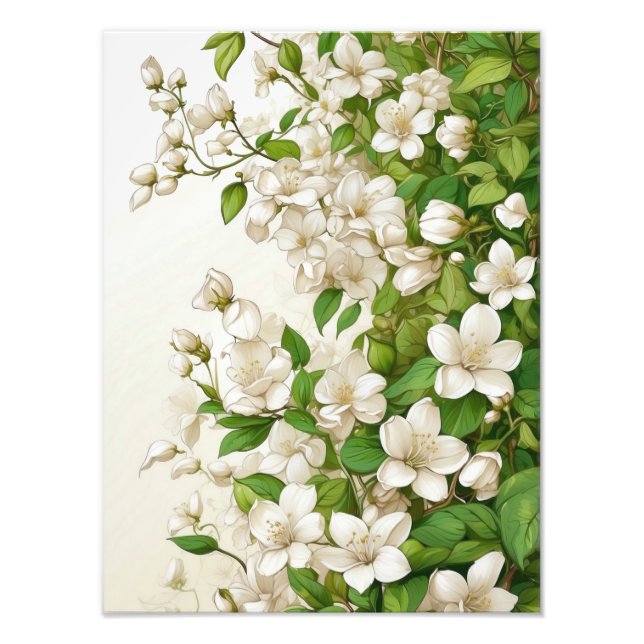 Foto Flores brancas e Folhas verdes (Frente)