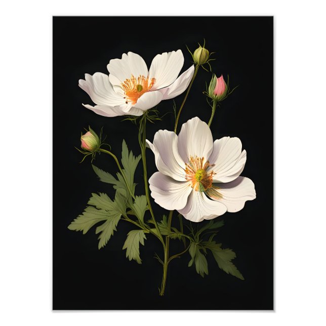 Foto Flores Brancas Elegantes (Frente)