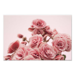 Foto Flores cor-de-rosa bonito