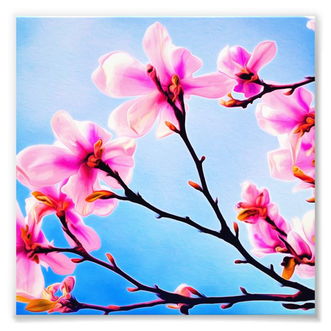 Foto Flores da Primavera (Frente)