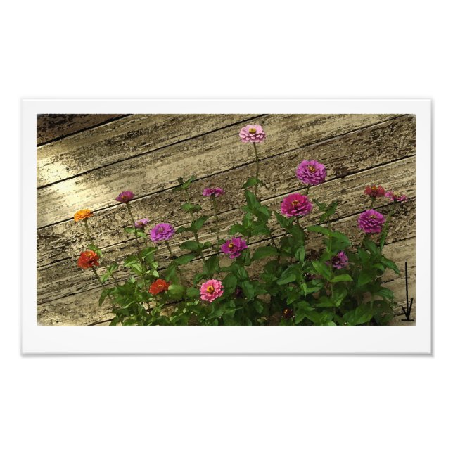 Foto Flores de Abby (Frente)