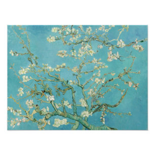 Foto Flores de Amendoeira por Vincent Van Gogh Arte Fin