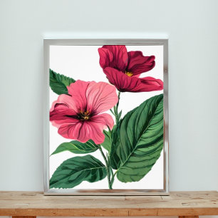 Foto Flores de Hibisco Rosa-Greve
