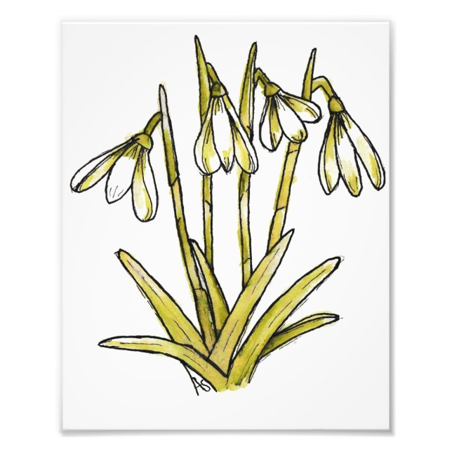 Foto Flores de Neve (Frente)