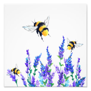 Foto Flores de primavera e Abelhas Flores - Desenho