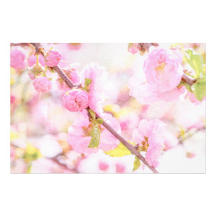 Foto Flores de sakura rosa - Flor de cerejeira japonesa