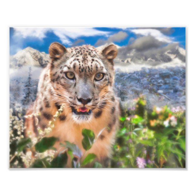 FOTO FLORES DE TEMPO DE SPRINGTIME LEOPARD DE NEVE (Frente)