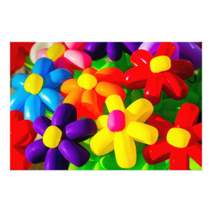 Foto Flores de Toy Balloon
