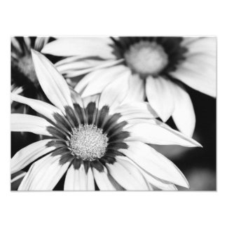 Foto Flores Pretas e Brancas