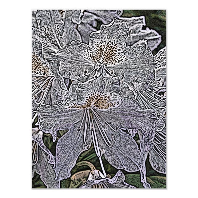 FOTO FLORES RHODODENDRON (Frente)