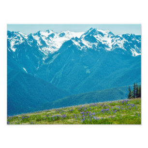 Foto Flores selvagens e montanhas