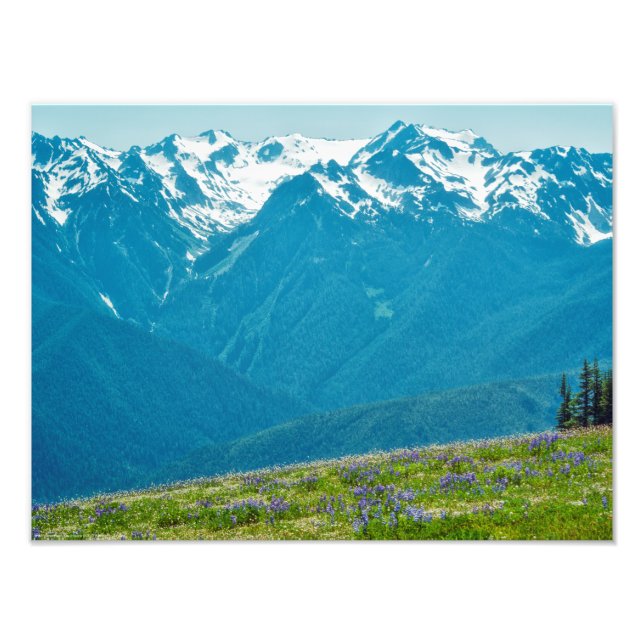 Foto Flores selvagens e montanhas (Frente)