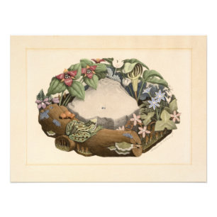 Foto Flores Selvagens por Grant Wood