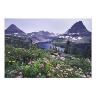 Foto Flores silvestres e Lago Escondido, Arbustivo