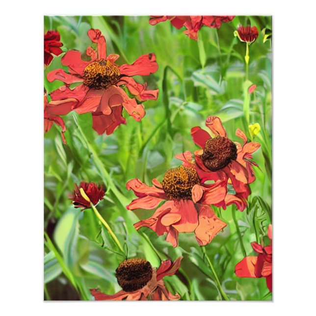 FOTO FLÔRES VERMELHAS DE RUDBECKIA (Frente)