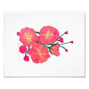 Foto Flores vermelhas pintadas