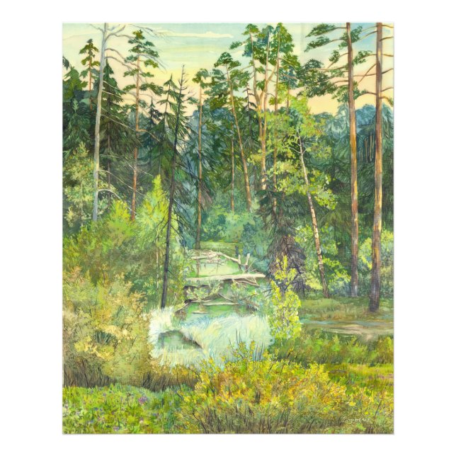 Foto floresta (Frente)