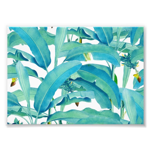 Foto Floresta de Banana (Frente)
