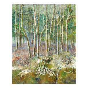 Foto floresta de inverno