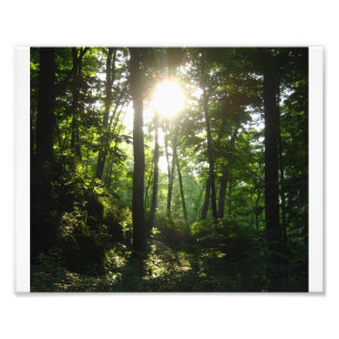 Foto Floresta de Wapsipinicon