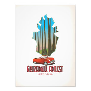 Foto floresta grizdale lake district inglaterra mapa