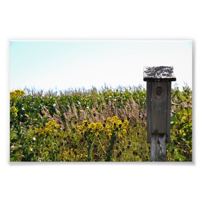 Foto Flower Coop (Frente)