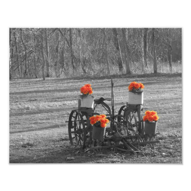 Foto Fluxo Anterior (Frente)