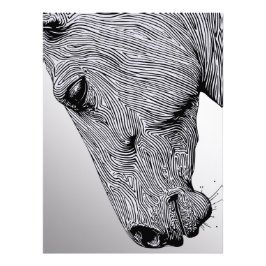 Foto Fluxo do Cavalo de Arte Minimalista Selvagem