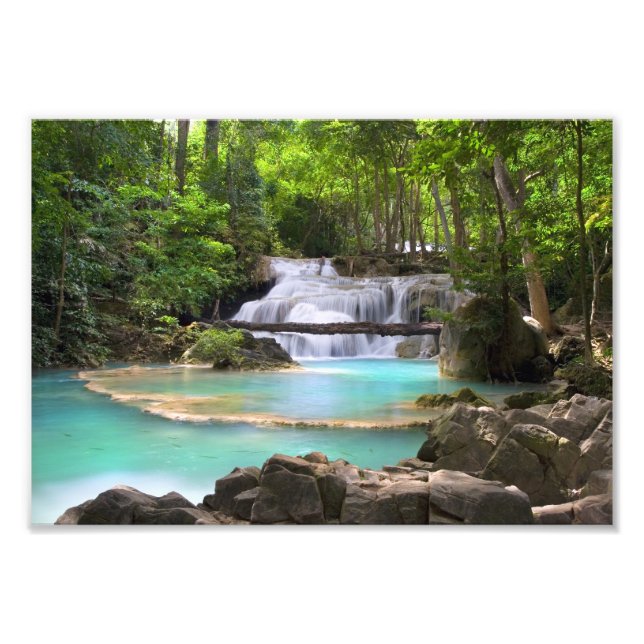 Foto Fluxo na Floresta Tropical (Frente)