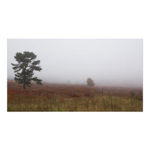 Foto Foggy Big Meadows durante o outono, Virginia