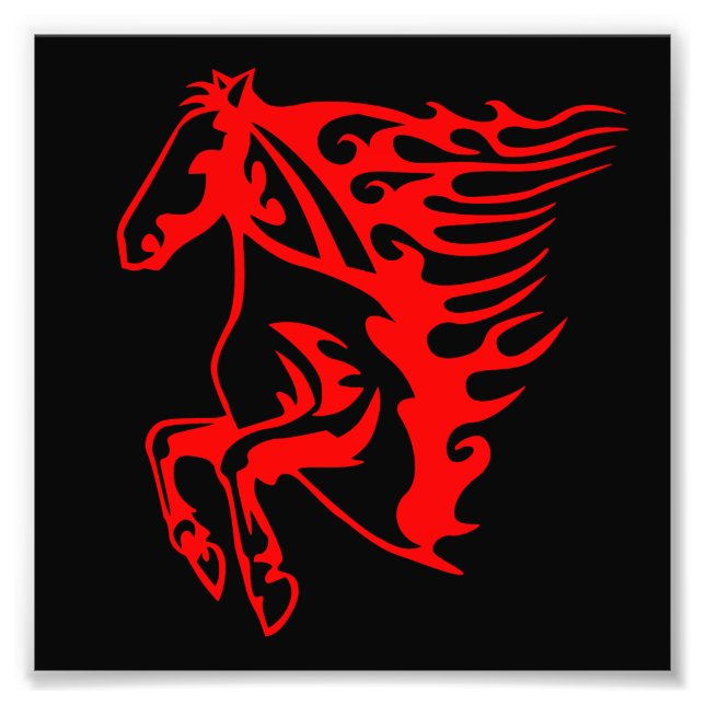 Foto Fogo Chato Vermelho Bronco Mustang Cavalo Selvagem (Frente)