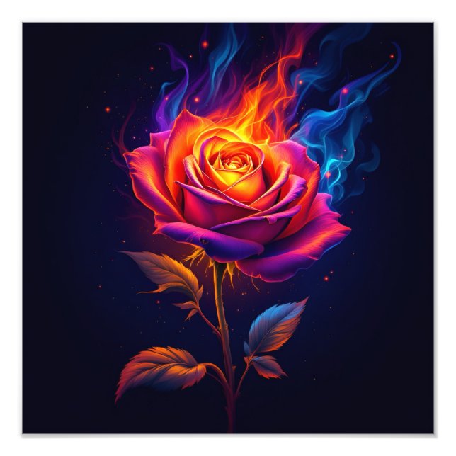Foto Fogo e a Rosa  (Frente)