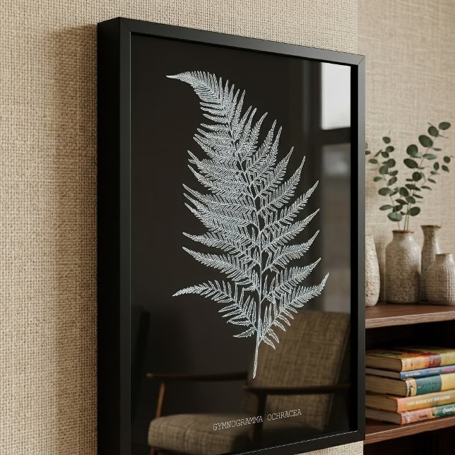 Foto Folha de Samambaia Ocre, Gymnogramma Ochracea (Ochre Fern Frond, Gymnogramma Ochracea. Photo Print)