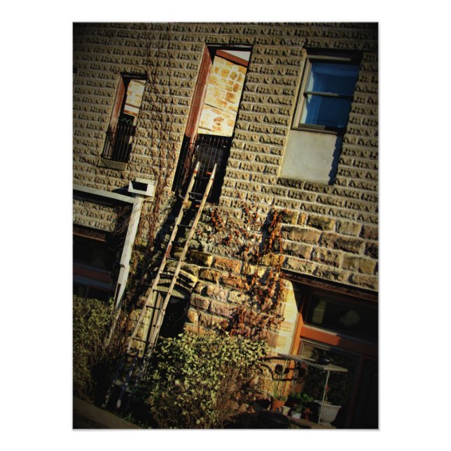 Foto "Folhagem de cerveja" (Frente)