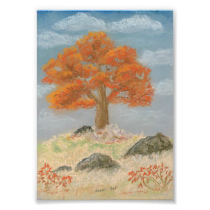 Foto Folhagem de outono