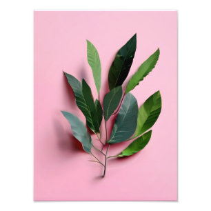 Foto Folhas Rosa Reproduzíveis