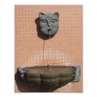 Foto Fonte de Gatos da Praça