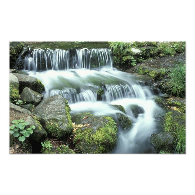Foto Fonte de Samambaia, Parque Nacional de Yosemite (Frente)