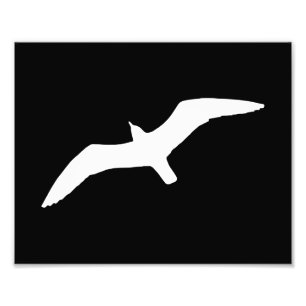 Foto Forma de gaivota