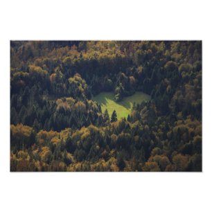 Foto Forma do coração em uma floresta em Slovenia