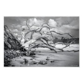 Foto "Foto Impressa 'Island Beach"